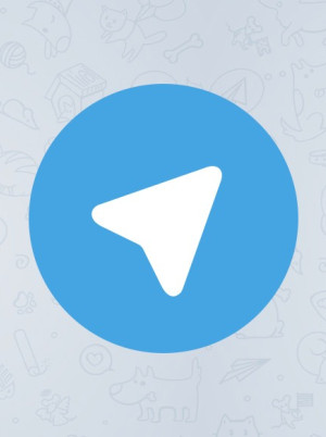 Telegram powraca na Wear OS